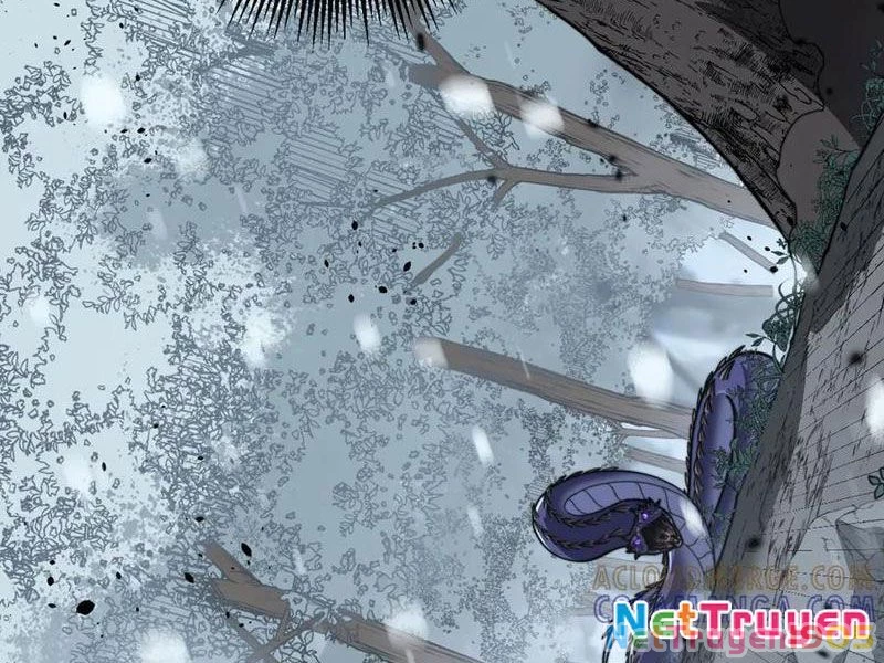 Lão xà tu tiên truyện Chapter 55 - 26