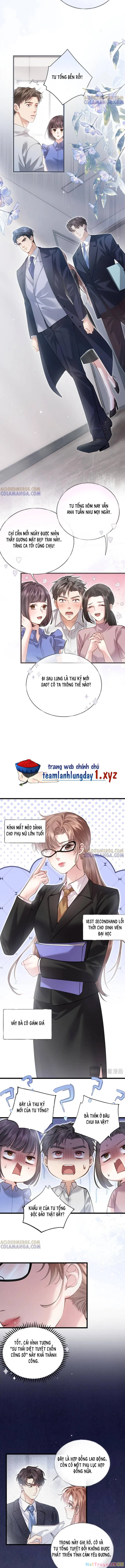 Từ Chối Hiến Thận, Tôi Trở Thành Mợ Út Của Người Yêu Cũ Chapter 7 - 2