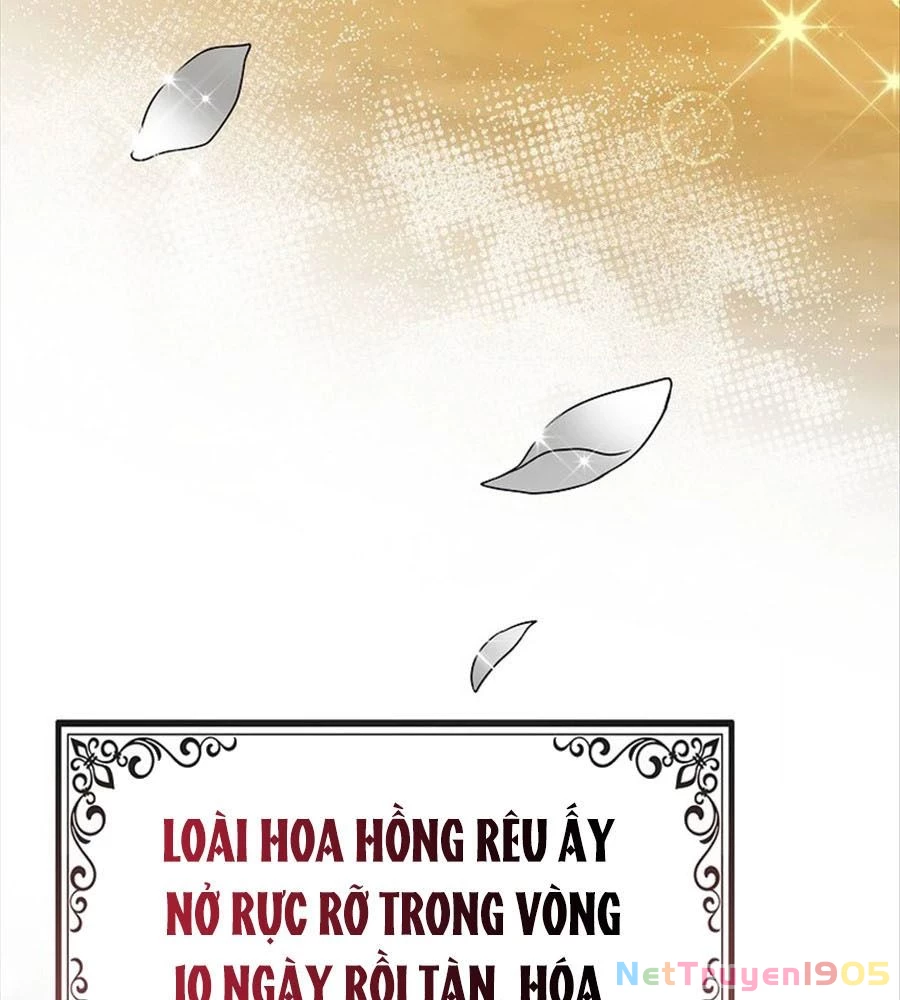 Tôi Đã Diễn Tròn Vai Một Đứa Con Gái Nuôi Chapter 69 - 139