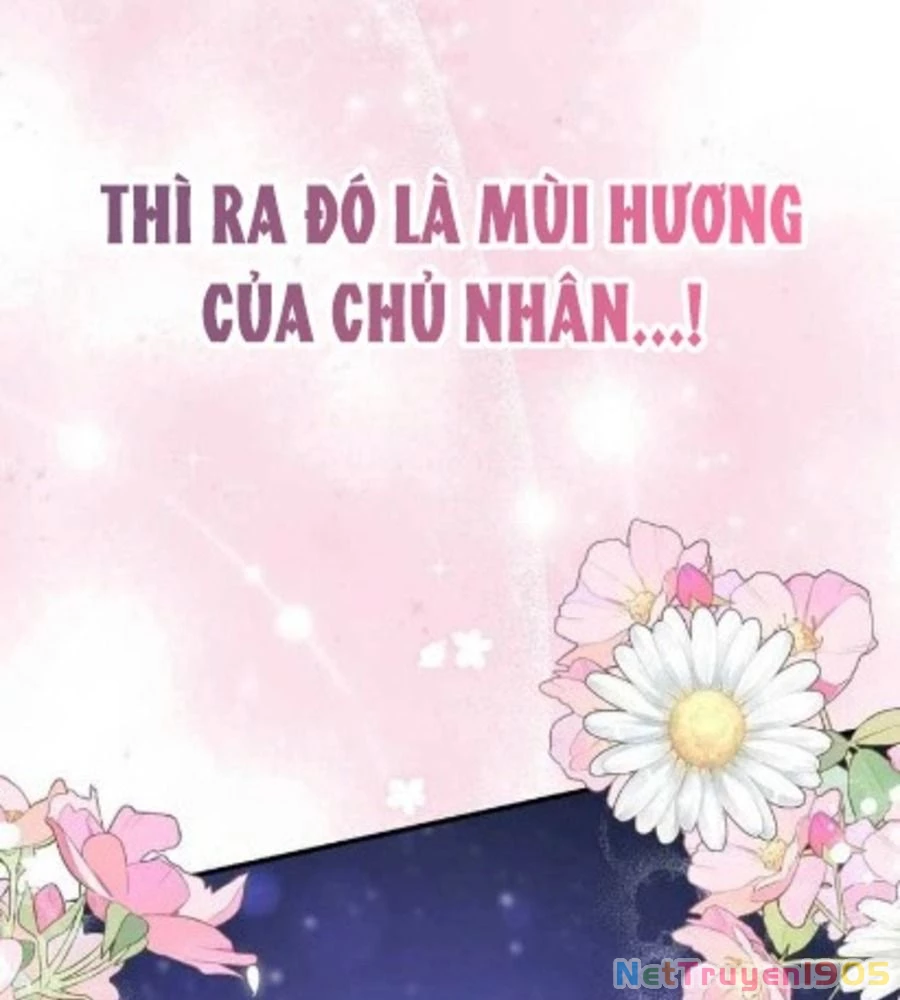 Tôi Đã Diễn Tròn Vai Một Đứa Con Gái Nuôi Chapter 75 - 50
