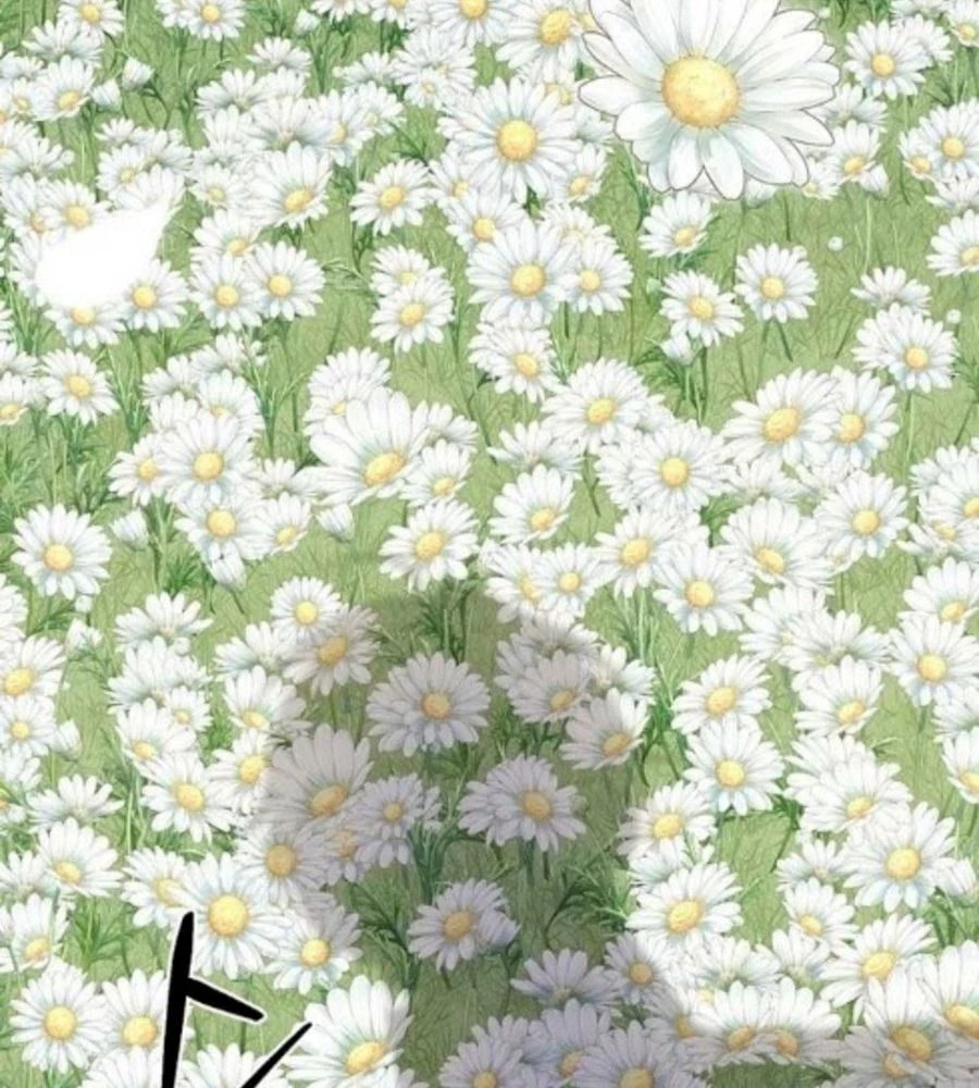 Tôi Đã Diễn Tròn Vai Một Đứa Con Gái Nuôi Chapter 75 - 102