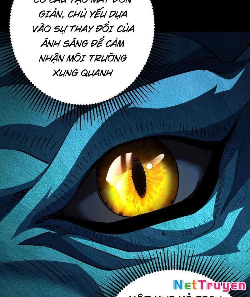 Dị Biến Giáng Lâm Nhân Gian: Triệu Hoán Chi Chủ! Chapter 37 - 46