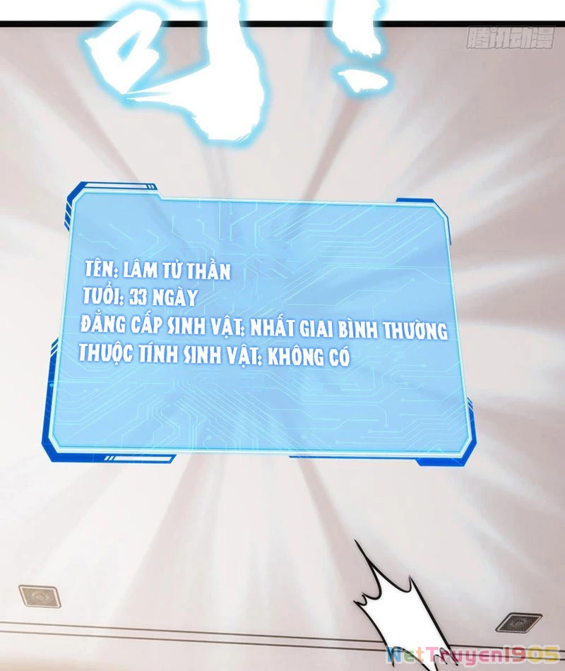 Tiến Hóa Vô Hạn Bắt Đầu Từ Con Số Không Chapter 1 - 12