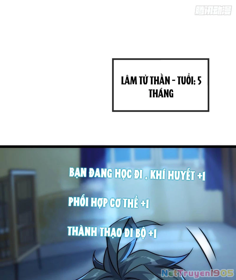 Tiến Hóa Vô Hạn Bắt Đầu Từ Con Số Không Chapter 1 - 28