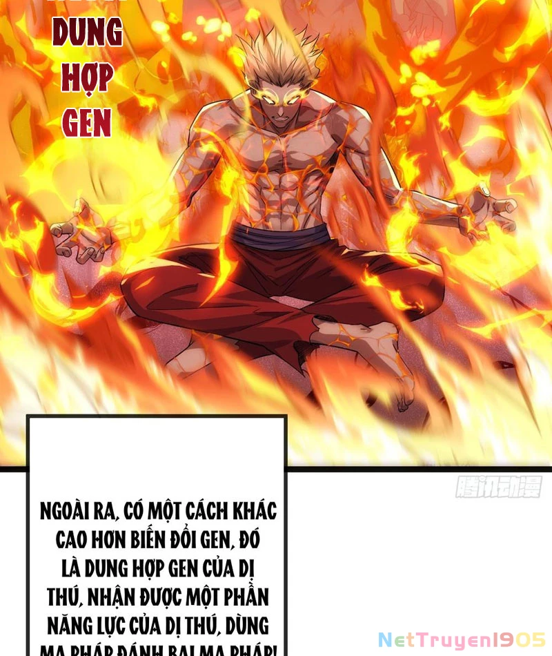 Tiến Hóa Vô Hạn Bắt Đầu Từ Con Số Không Chapter 1 - 41