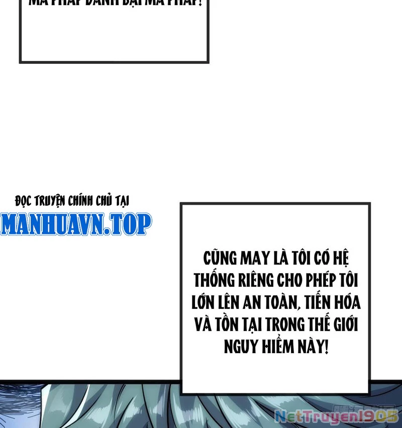 Tiến Hóa Vô Hạn Bắt Đầu Từ Con Số Không Chapter 1 - 42