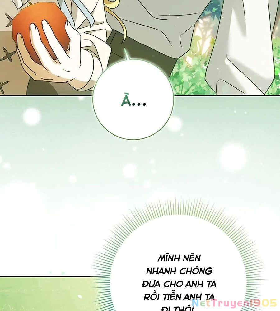 Lọ Lem Đã Mất Tích Chapter 16 - 3