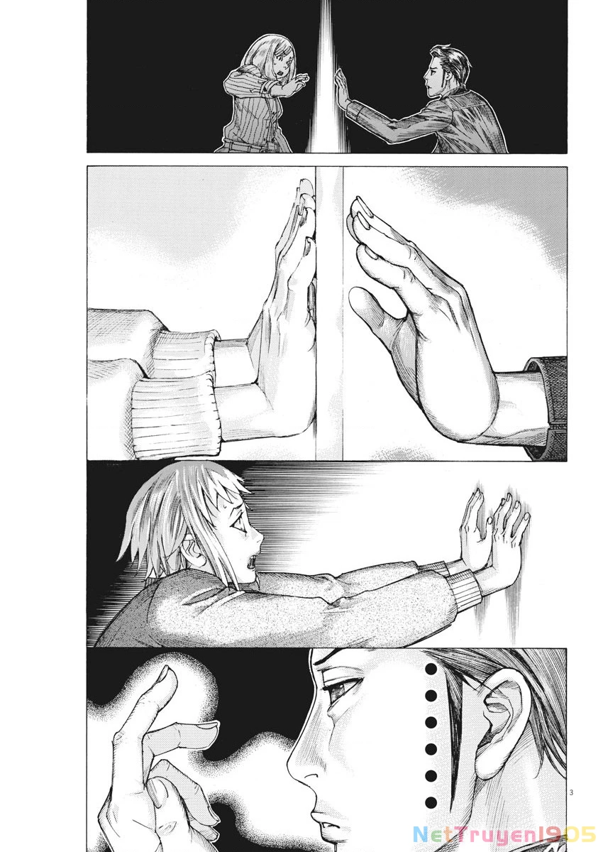 Đám Cưới Của Natsume Arata Chapter 38 - 4