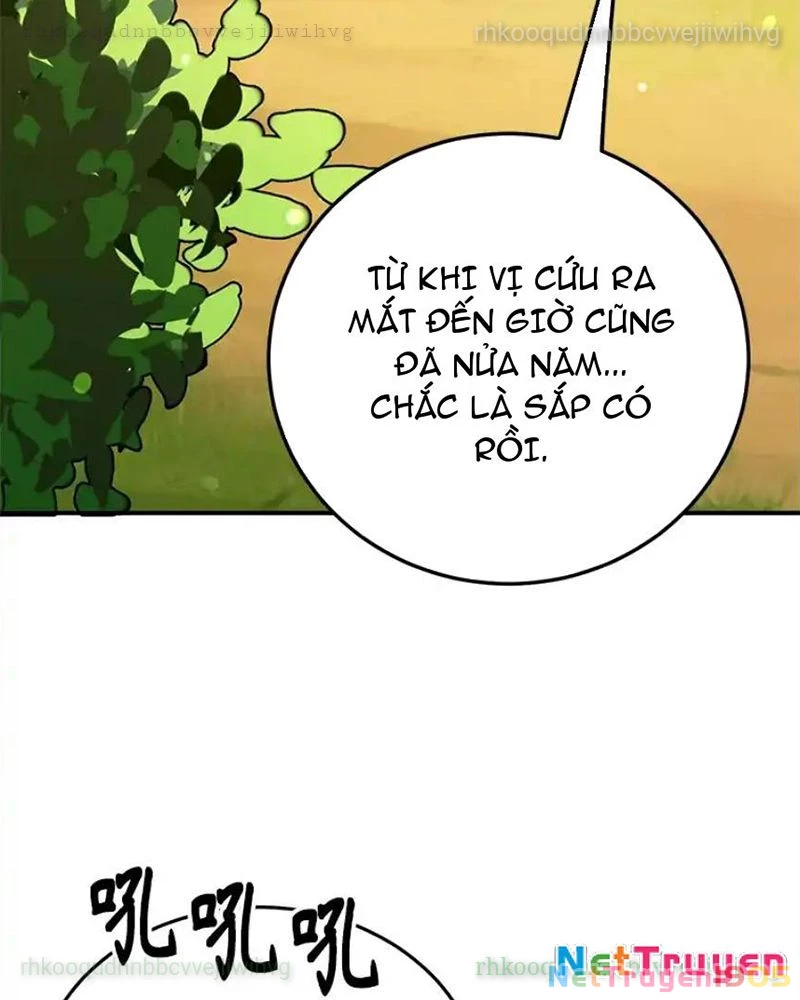 Tôi May Mắn Triệu Hồi Được Tinh Linh Hộ Vệ Hạng 10 Chapter 29 - 26