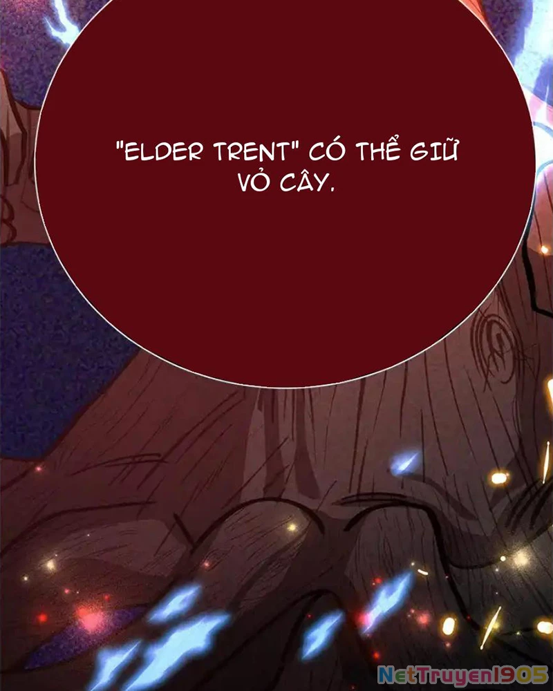 Tôi May Mắn Triệu Hồi Được Tinh Linh Hộ Vệ Hạng 10 Chapter 29 - 67