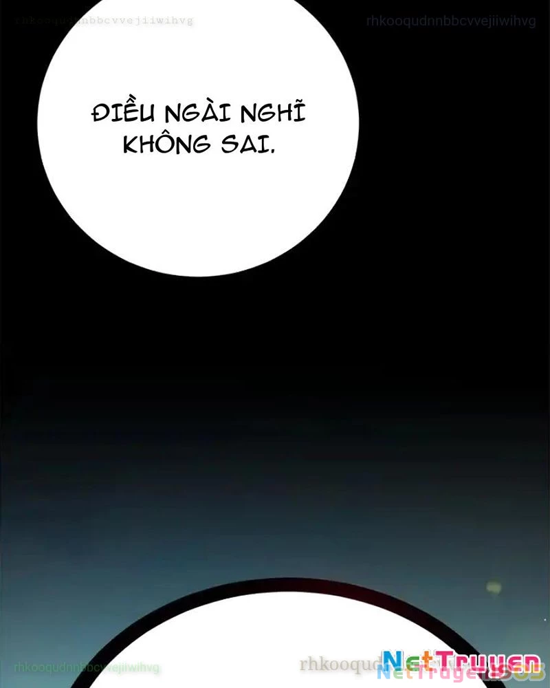 Tôi May Mắn Triệu Hồi Được Tinh Linh Hộ Vệ Hạng 10 Chapter 30 - 26