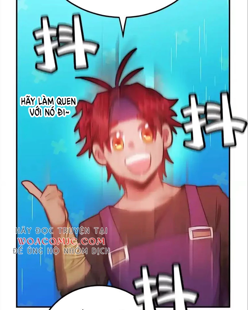 Tôi May Mắn Triệu Hồi Được Tinh Linh Hộ Vệ Hạng 10 Chapter 31 - 17
