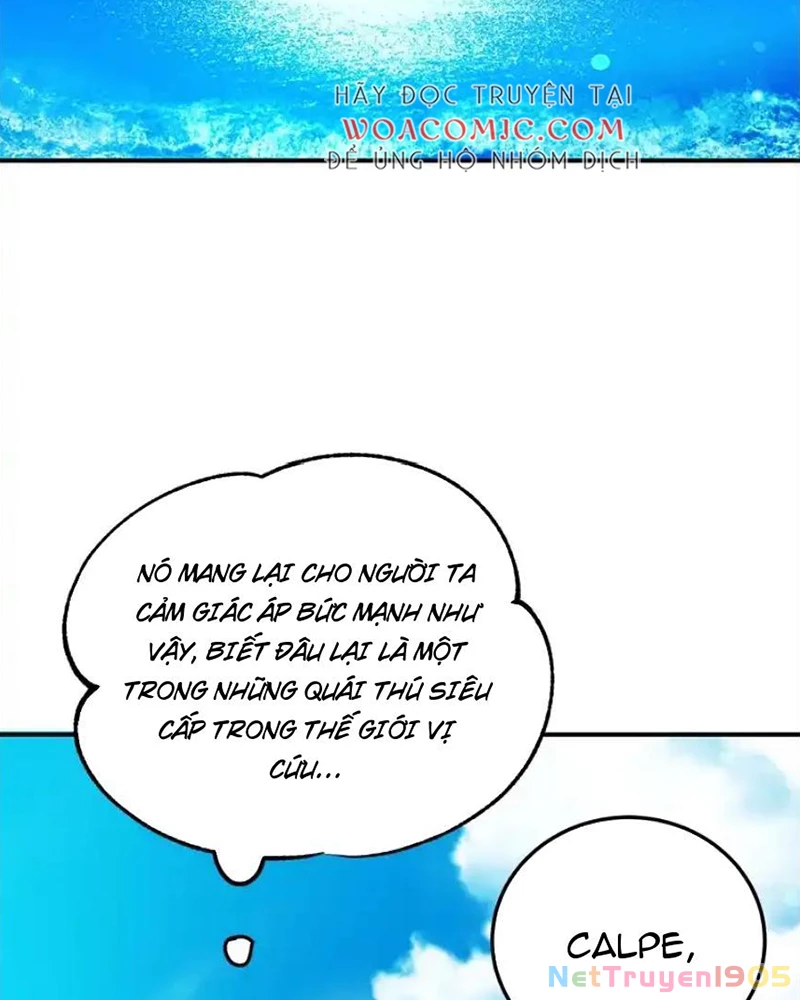 Tôi May Mắn Triệu Hồi Được Tinh Linh Hộ Vệ Hạng 10 Chapter 31 - 33