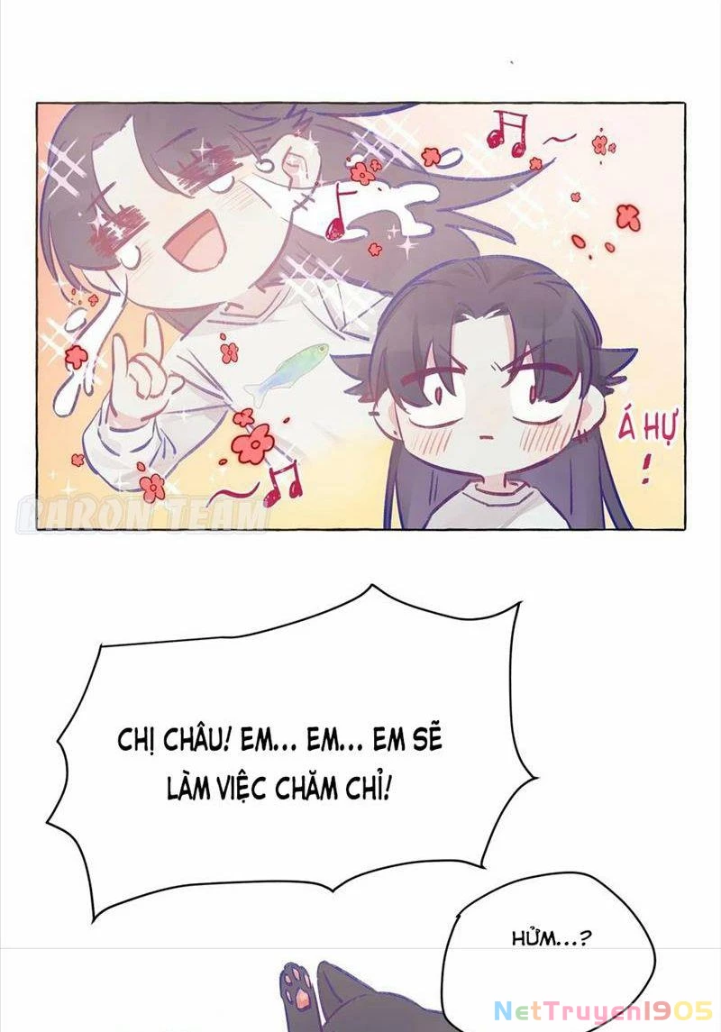 CẠM BẪY GÁI THẲNG Chapter 3 - 11