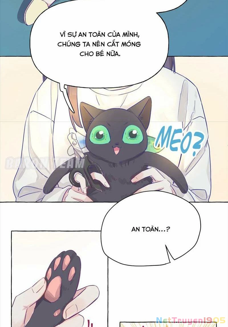 CẠM BẪY GÁI THẲNG Chapter 3 - 15