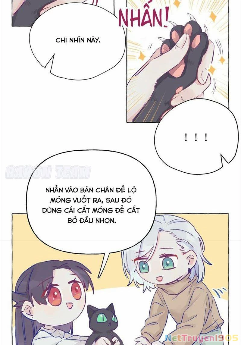 CẠM BẪY GÁI THẲNG Chapter 3 - 16