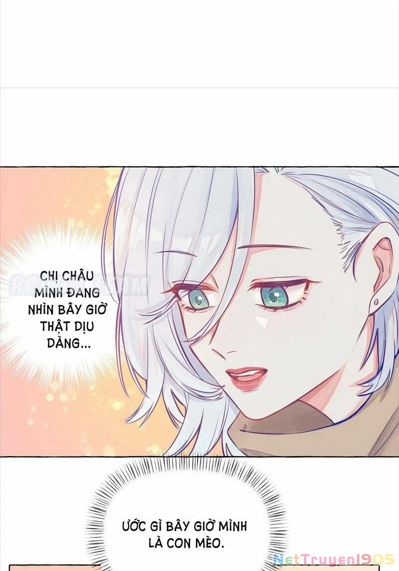 CẠM BẪY GÁI THẲNG Chapter 3 - 19