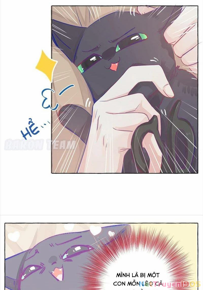 CẠM BẪY GÁI THẲNG Chapter 3 - 23