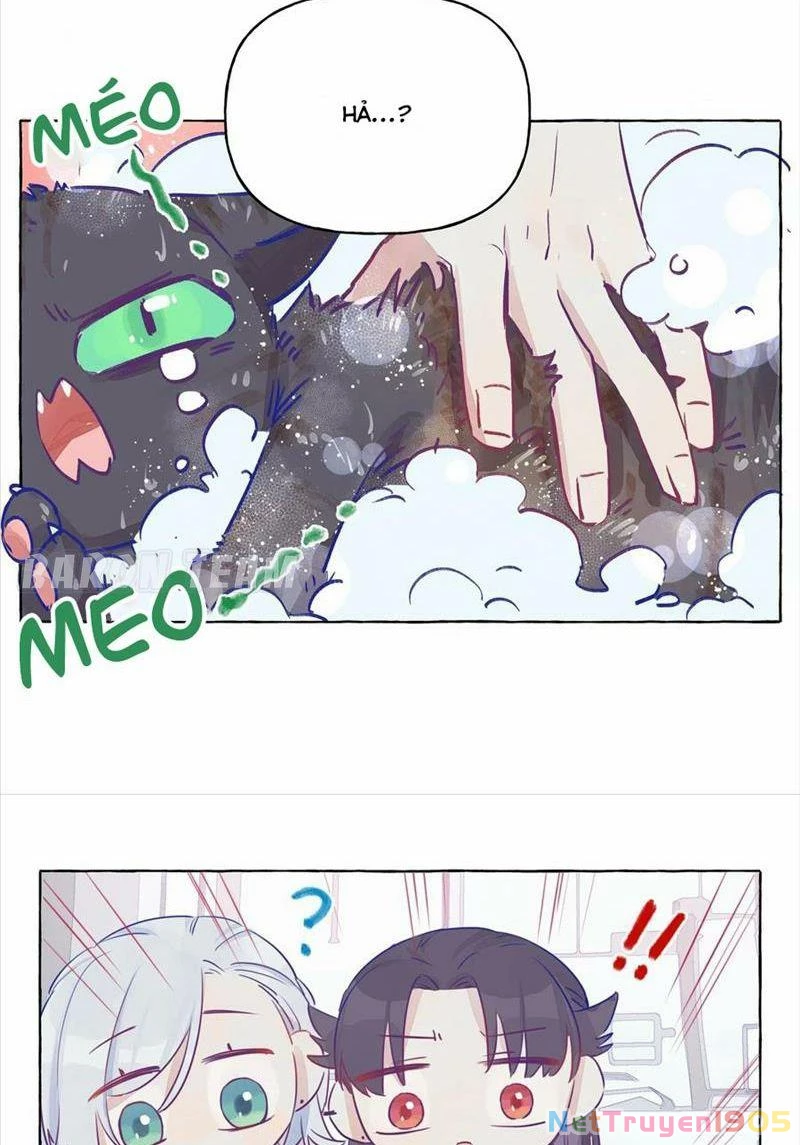 CẠM BẪY GÁI THẲNG Chapter 3 - 28