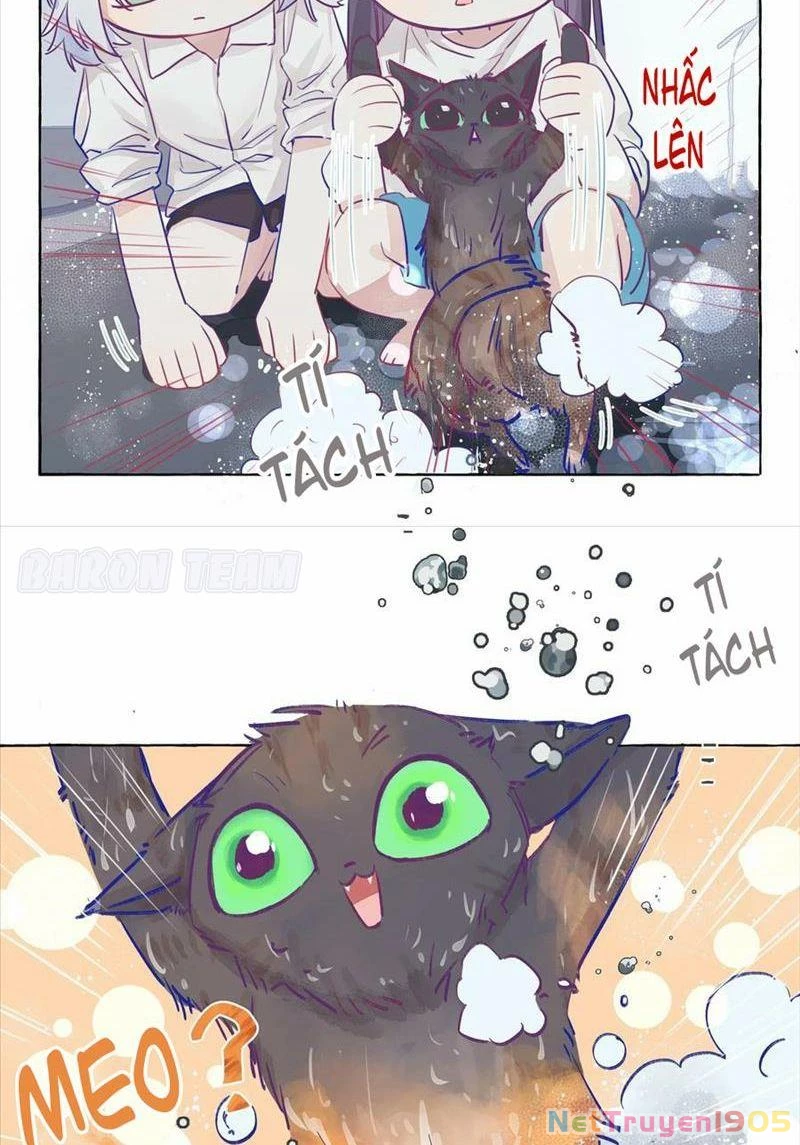 CẠM BẪY GÁI THẲNG Chapter 3 - 29