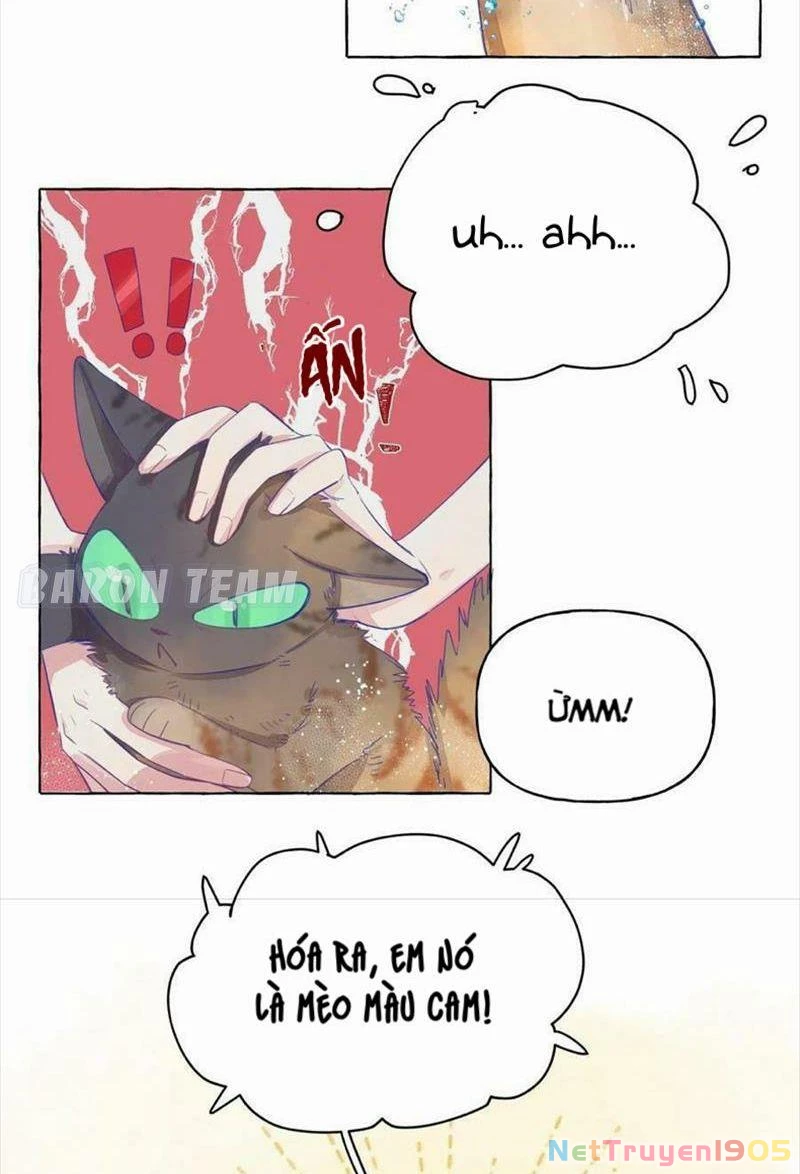 CẠM BẪY GÁI THẲNG Chapter 4 - 2