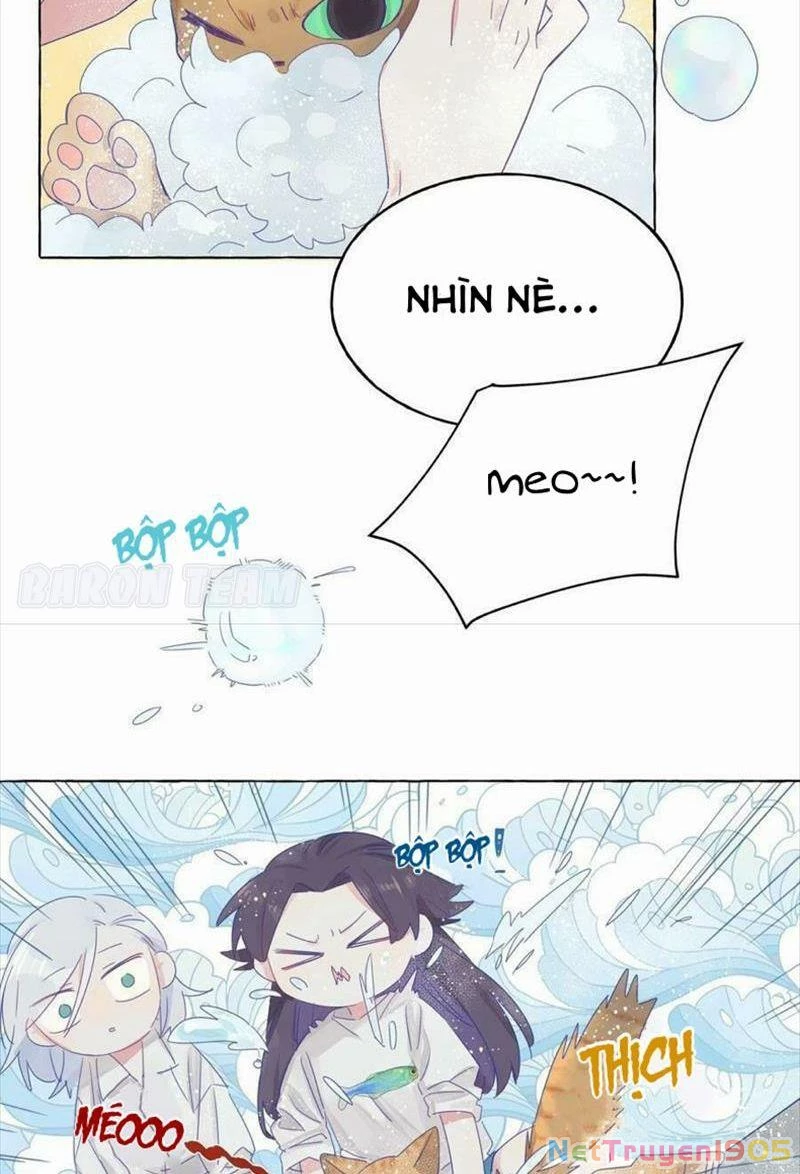 CẠM BẪY GÁI THẲNG Chapter 4 - 4