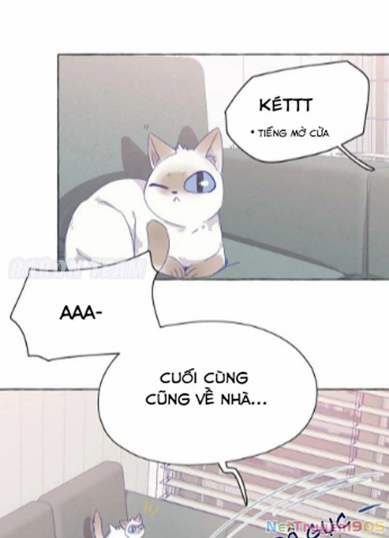 CẠM BẪY GÁI THẲNG Chapter 5 - 23