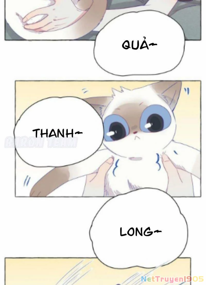 CẠM BẪY GÁI THẲNG Chapter 5 - 25