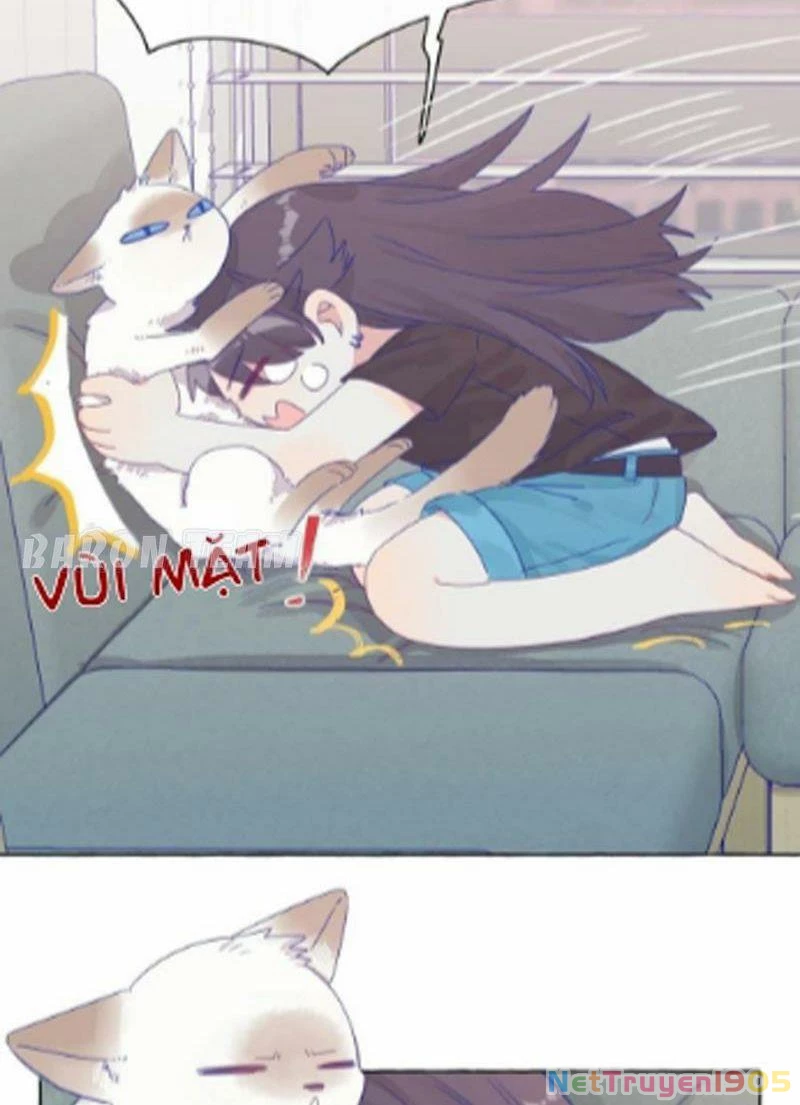 CẠM BẪY GÁI THẲNG Chapter 5 - 27