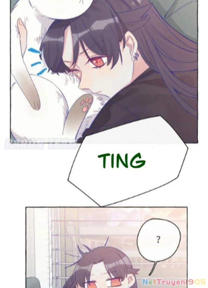 CẠM BẪY GÁI THẲNG Chapter 5 - 28