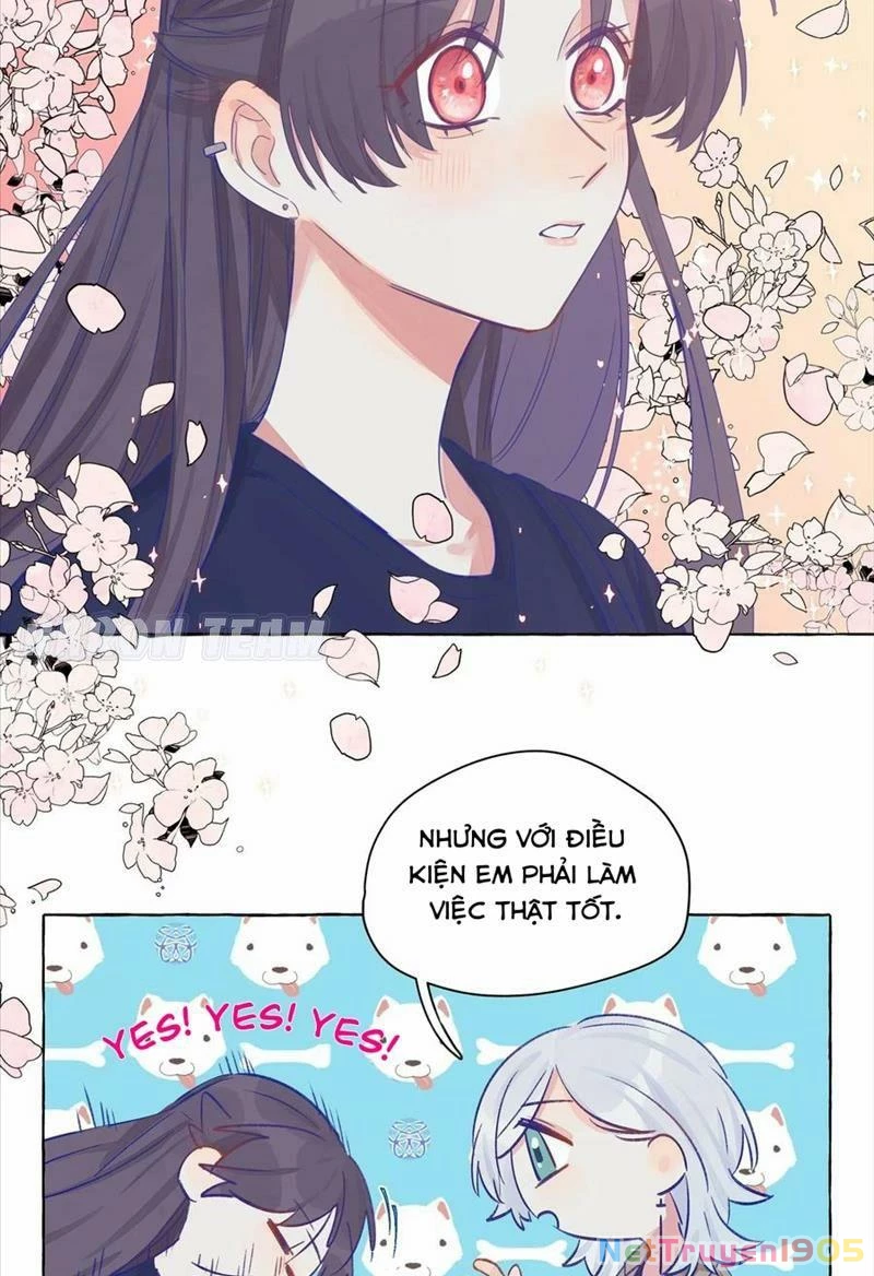 CẠM BẪY GÁI THẲNG Chapter 8 - 18