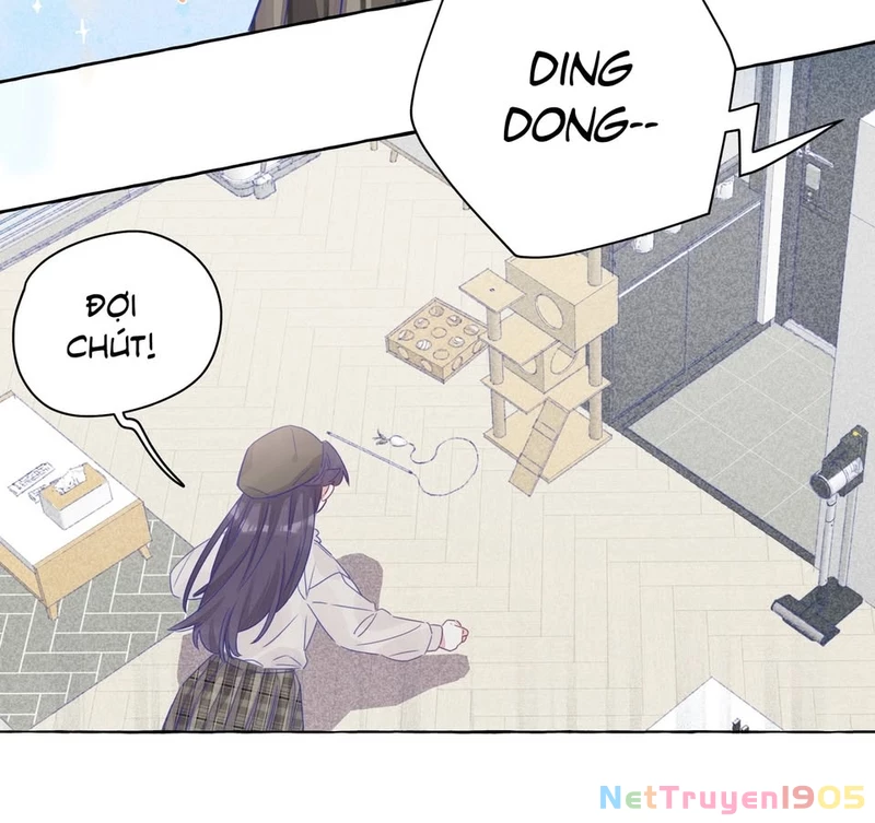 CẠM BẪY GÁI THẲNG Chapter 11 - 4