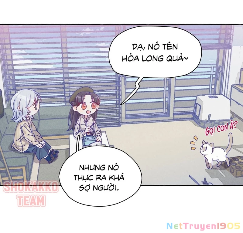 CẠM BẪY GÁI THẲNG Chapter 11 - 20
