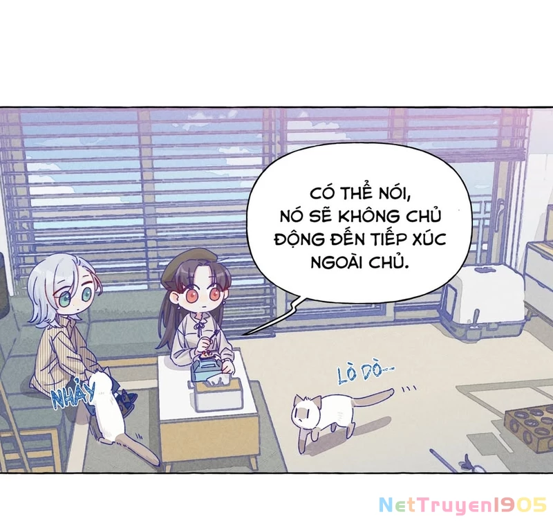 CẠM BẪY GÁI THẲNG Chapter 11 - 21