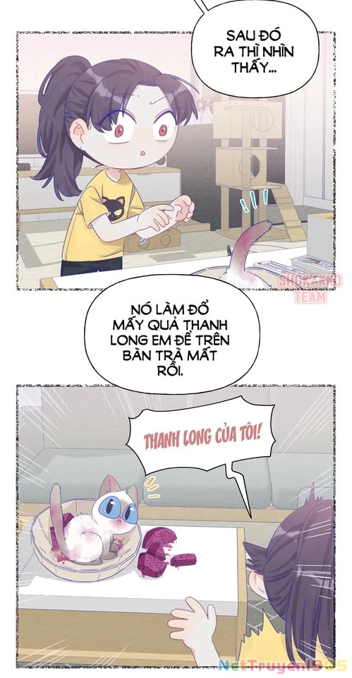 CẠM BẪY GÁI THẲNG Chapter 12 - 4