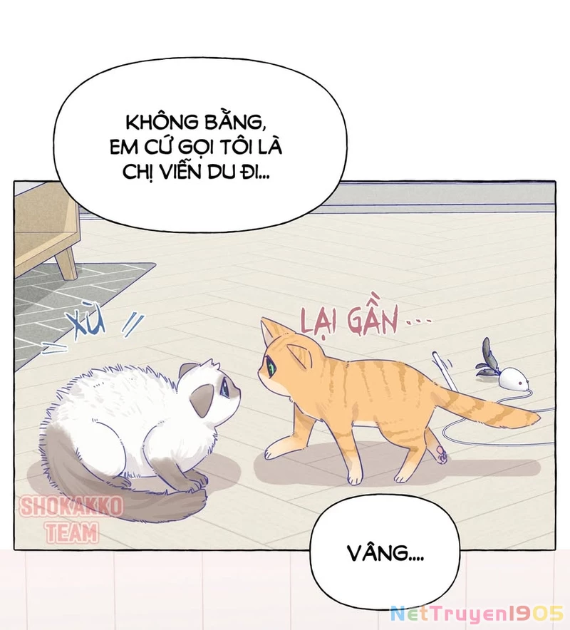 CẠM BẪY GÁI THẲNG Chapter 13 - 3