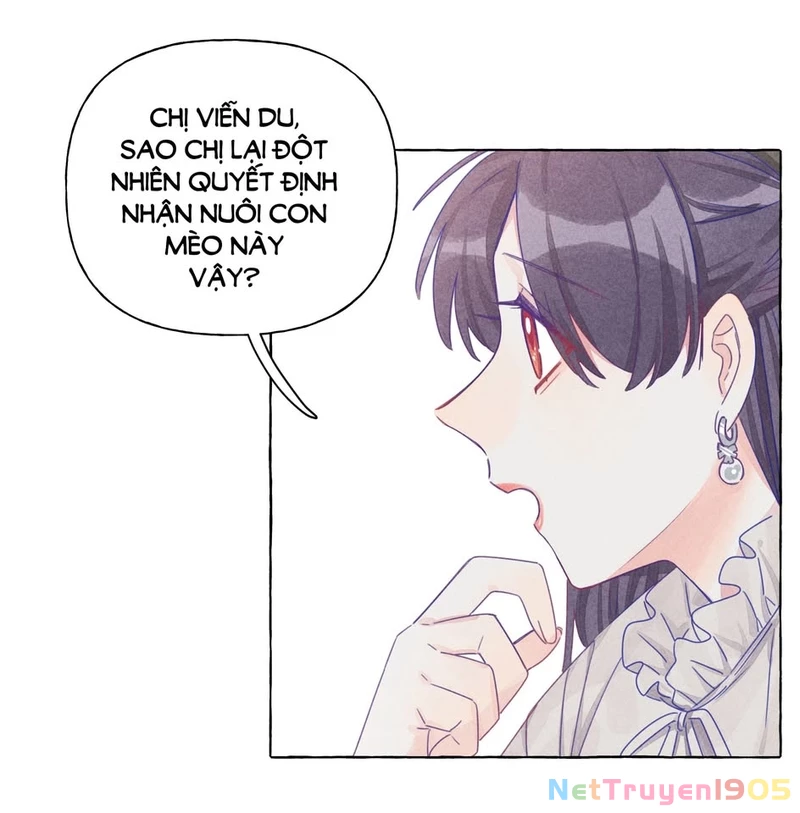 CẠM BẪY GÁI THẲNG Chapter 13 - 17