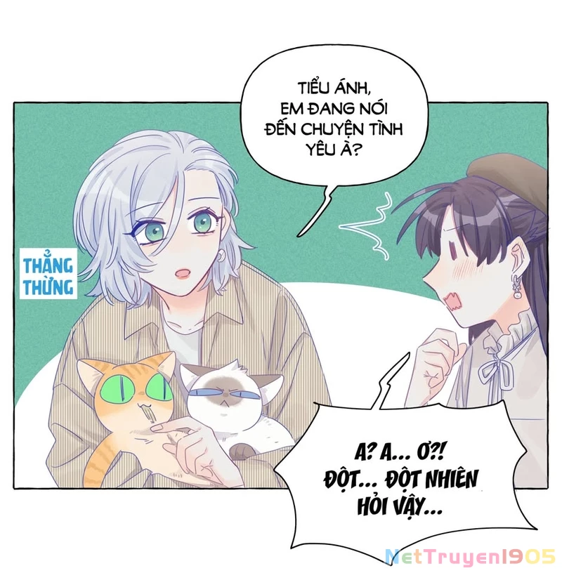 CẠM BẪY GÁI THẲNG Chapter 13 - 19