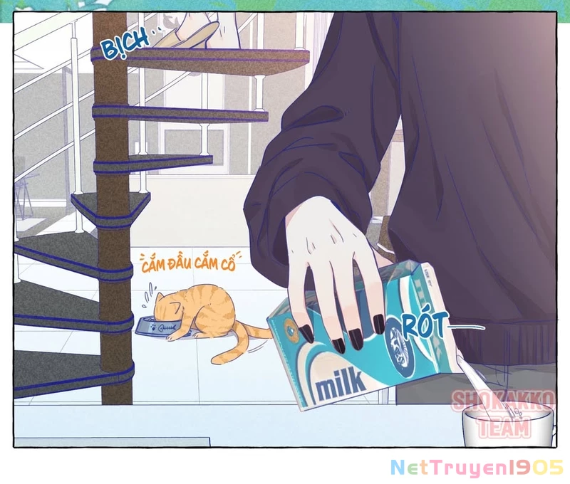 CẠM BẪY GÁI THẲNG Chapter 19 - 12