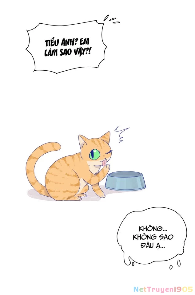 CẠM BẪY GÁI THẲNG Chapter 19 - 19