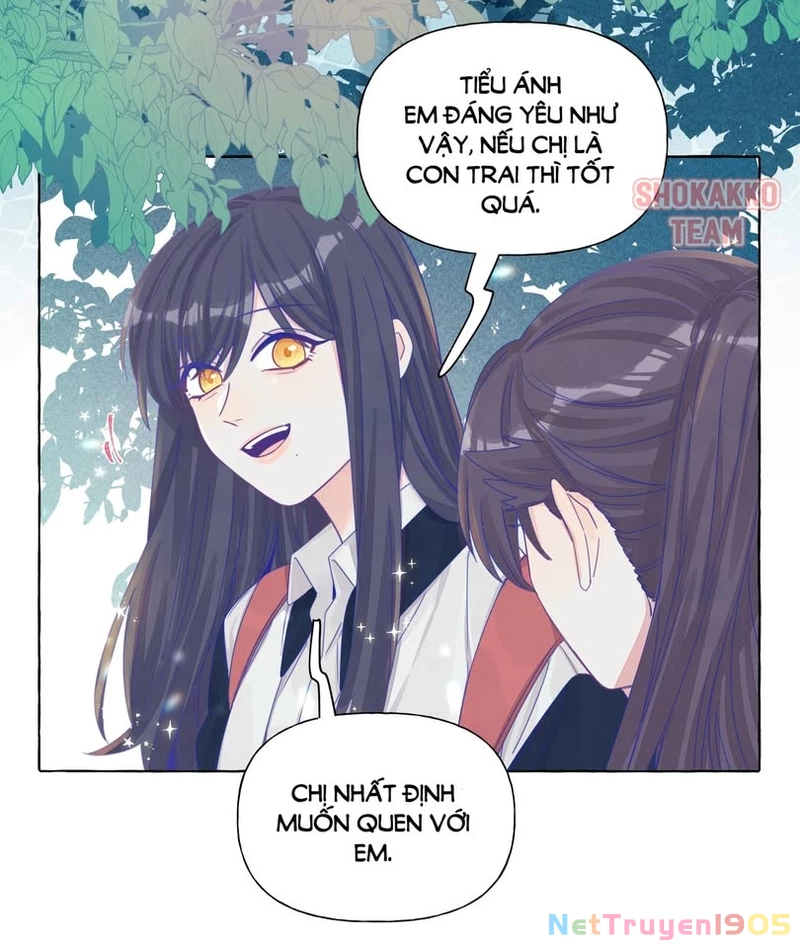 CẠM BẪY GÁI THẲNG Chapter 21 - 23