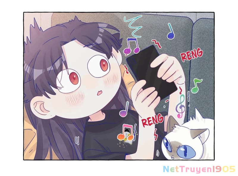 CẠM BẪY GÁI THẲNG Chapter 21 - 41