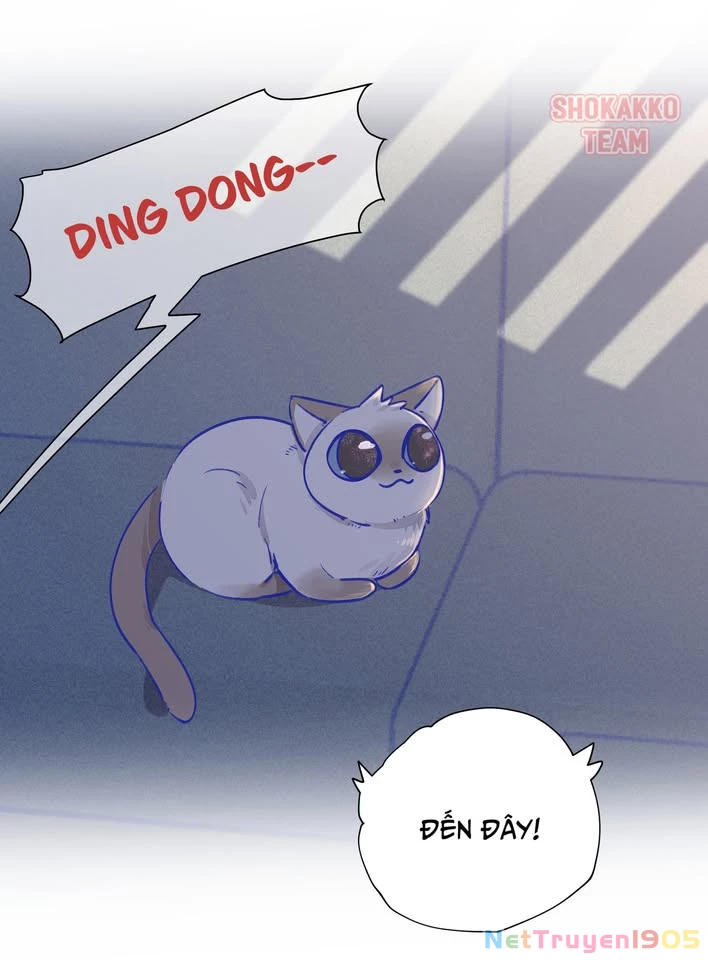 CẠM BẪY GÁI THẲNG Chapter 21.1 - 8