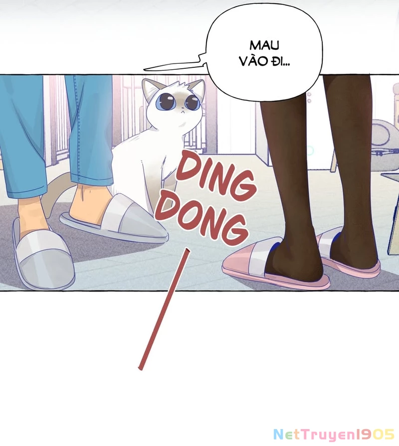 CẠM BẪY GÁI THẲNG Chapter 21.1 - 13