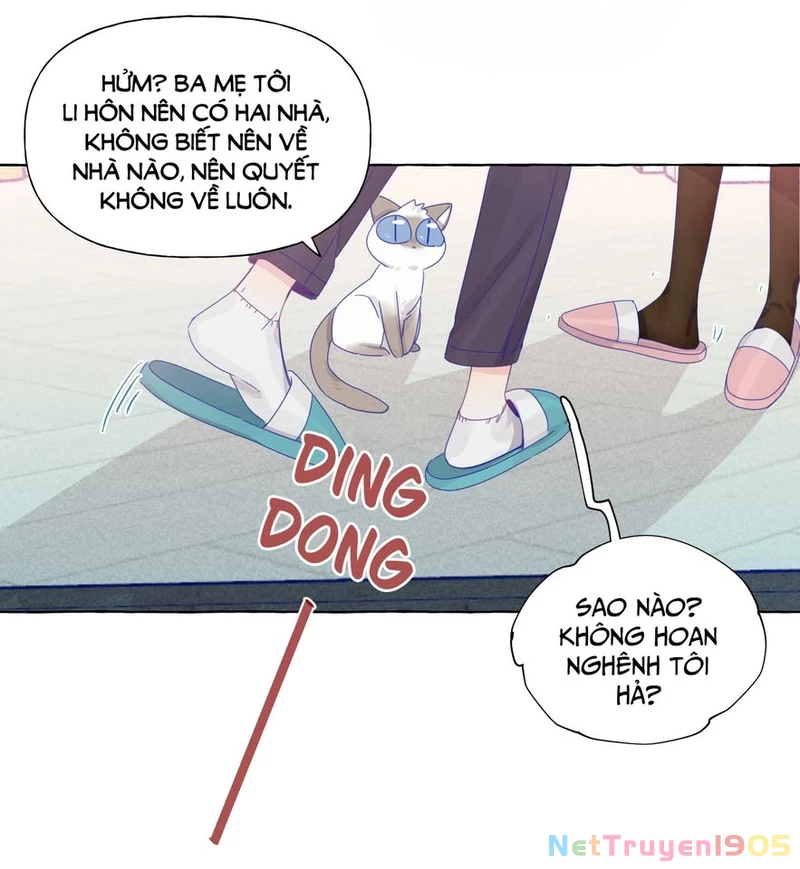 CẠM BẪY GÁI THẲNG Chapter 21.1 - 15