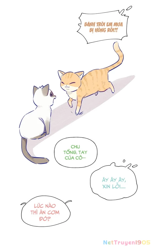 CẠM BẪY GÁI THẲNG Chapter 21.1 - 22