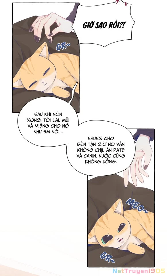 CẠM BẪY GÁI THẲNG Chapter 22 - 2