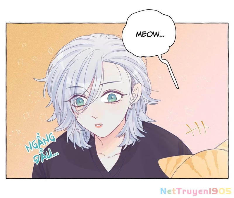 CẠM BẪY GÁI THẲNG Chapter 22 - 8