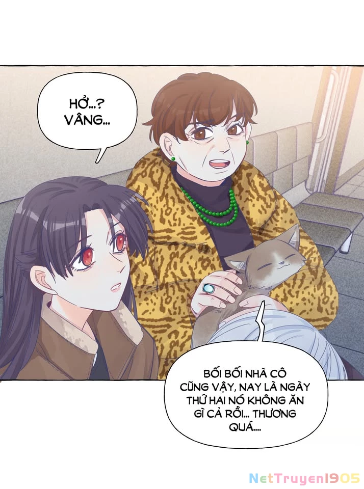 CẠM BẪY GÁI THẲNG Chapter 22 - 15