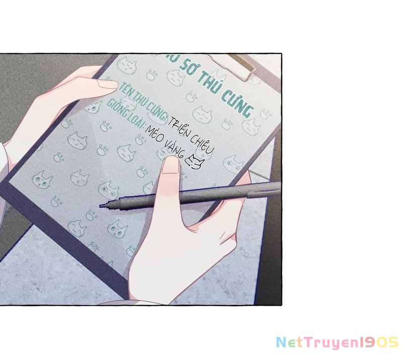 CẠM BẪY GÁI THẲNG Chapter 22 - 18